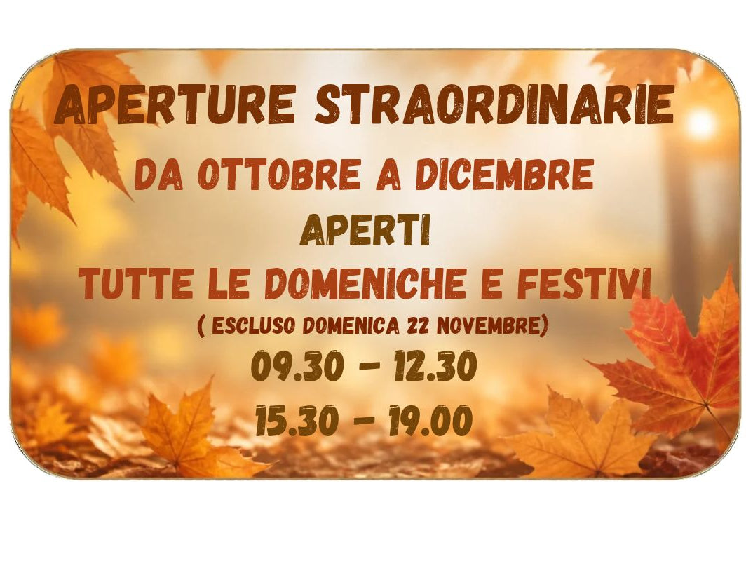 Aperture Straordinarie